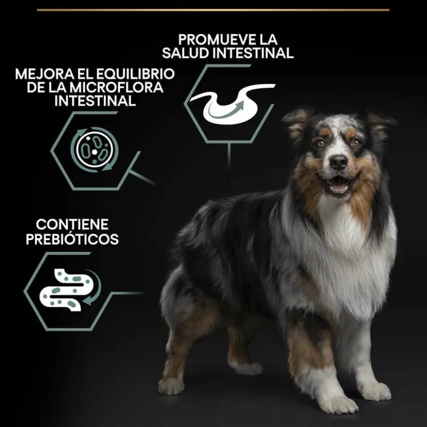 Pro Plan Adult Medium Digestão Cordeiro ração para cães