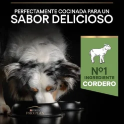 Pro Plan Adult Medium Digestão Cordeiro ração para cães