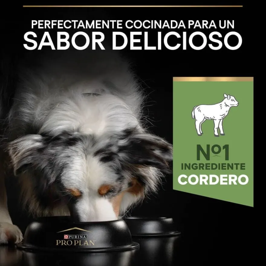Pro Plan Adult Medium Digestão Cordeiro ração para cães