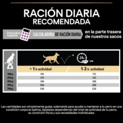 Pro Plan Adult Medium & Large Frango ração para cães seniores