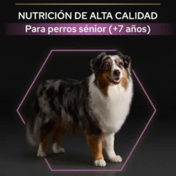 Pro Plan Adult Medium & Large Frango ração para cães seniores