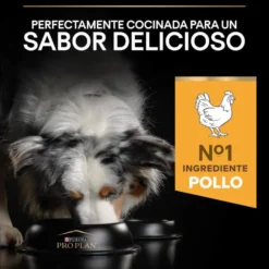Pro Plan Adult Medium & Large Frango ração para cães seniores