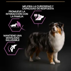 Pro Plan Adult Medium & Large Frango ração para cães seniores