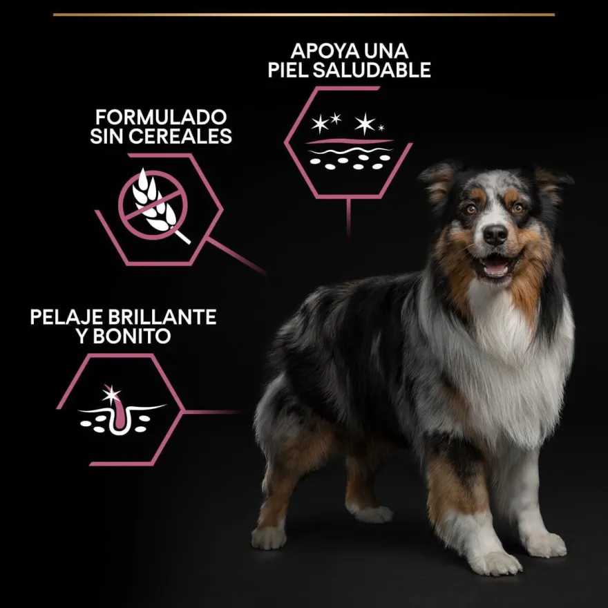 Pro Plan Adult Medium Sensitive Skin Salmão ração para cães