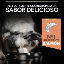 Pro Plan Adult Medium Sensitive Skin Salmão ração para cães