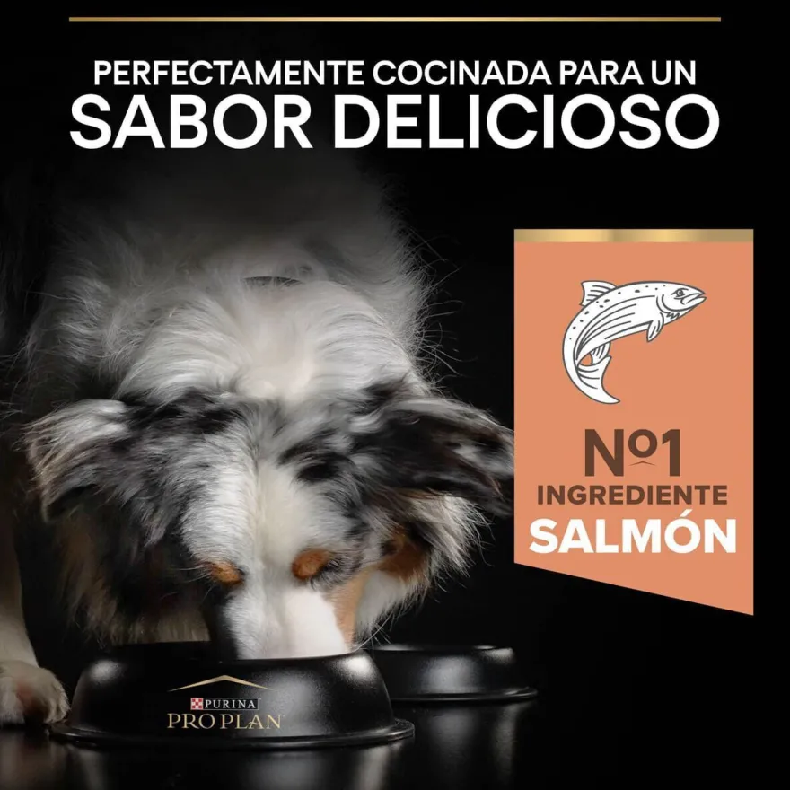 Pro Plan Adult Medium Sensitive Skin Salmão ração para cães