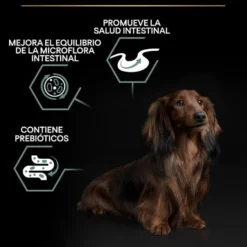 Pro Plan Adult Mini OptiDigest Cordeiro ração para cães