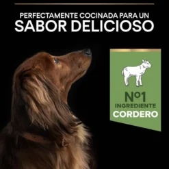 Pro Plan Adult Mini OptiDigest Cordeiro ração para cães