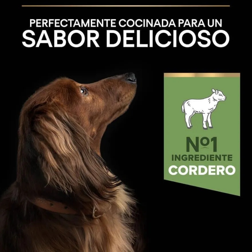 Pro Plan Adult Mini OptiDigest Cordeiro ração para cães