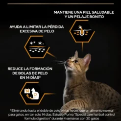 Pro Plan Adult OptiDerma Salmão ração para gatos