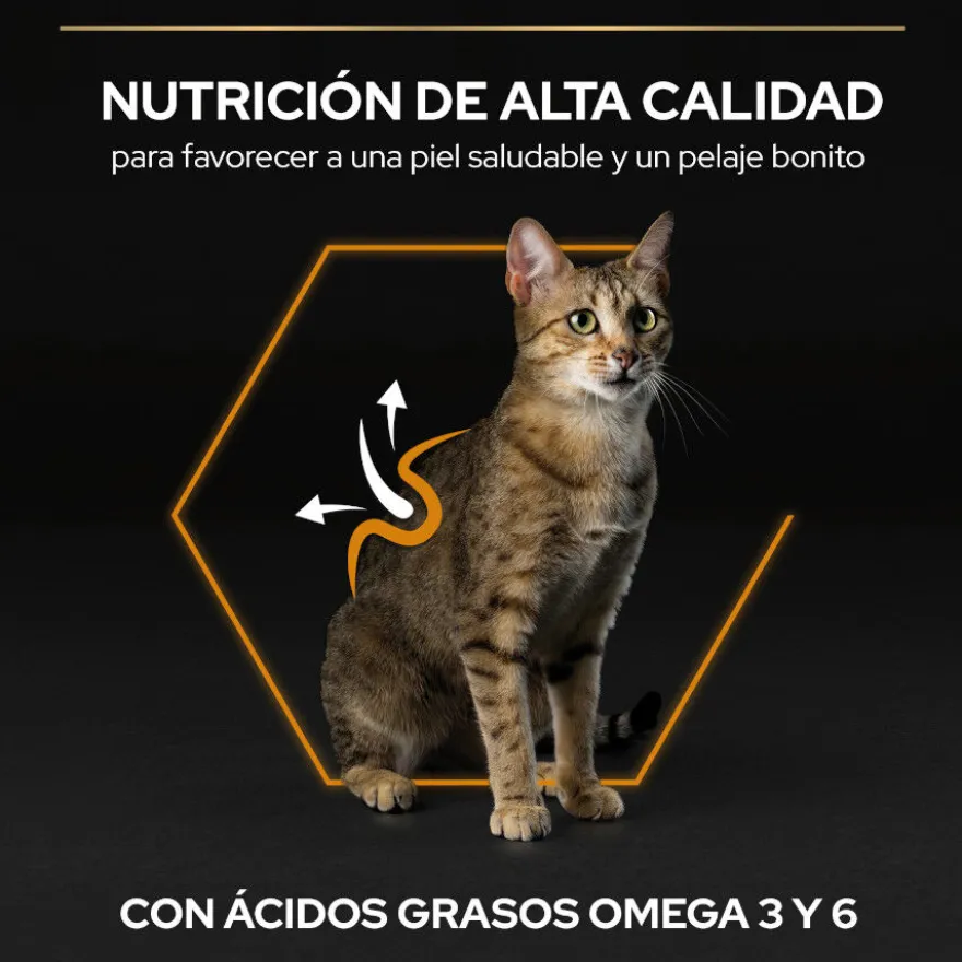 Pro Plan Adult OptiDerma Salmão ração para gatos
