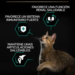 Pro Plan Adult Renal Plus Frango ração para gatos