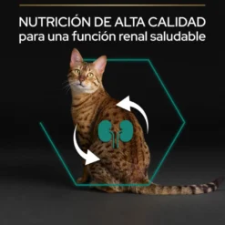 Pro Plan Adult Renal Plus Frango ração para gatos