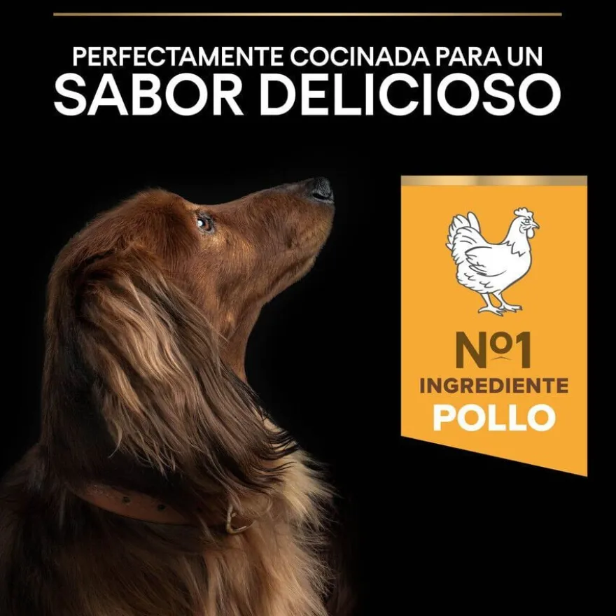 Pro Plan Adult Small e Mini Frango ração para cães