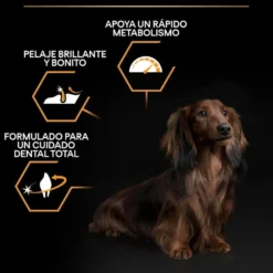 Pro Plan Adult Small e Mini Frango ração para cães