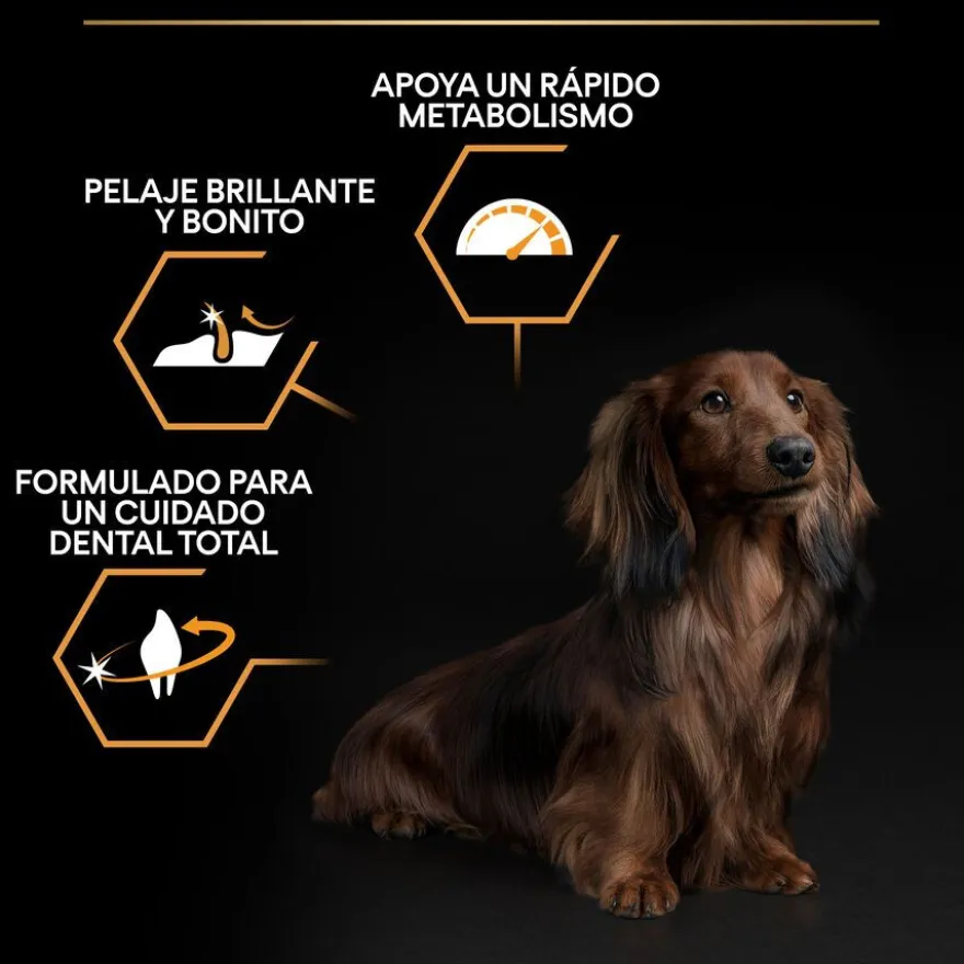 Pro Plan Adult Small e Mini Frango ração para cães