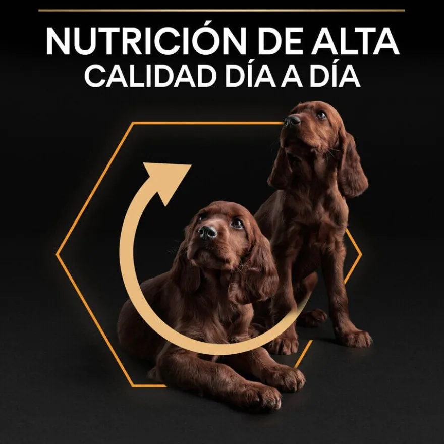 Pro Plan Adult Small e Mini Frango ração para cães