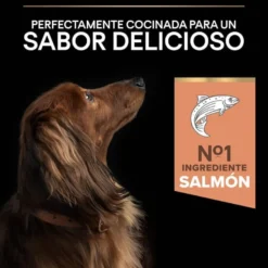 Pro Plan Adult Small e Mini Salmão Peles Sensíveis ração para cães