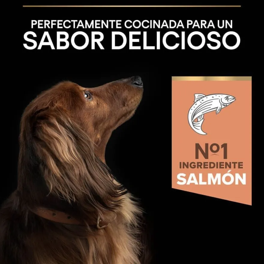 Pro Plan Adult Small e Mini Salmão Peles Sensíveis ração para cães