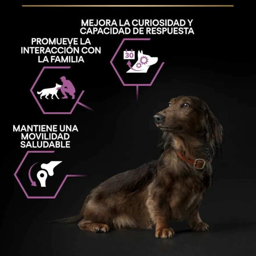 Pro Plan Adult Small & Mini OptiAge Frango ração para cães