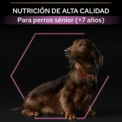Pro Plan Adult Small & Mini OptiAge Frango ração para cães