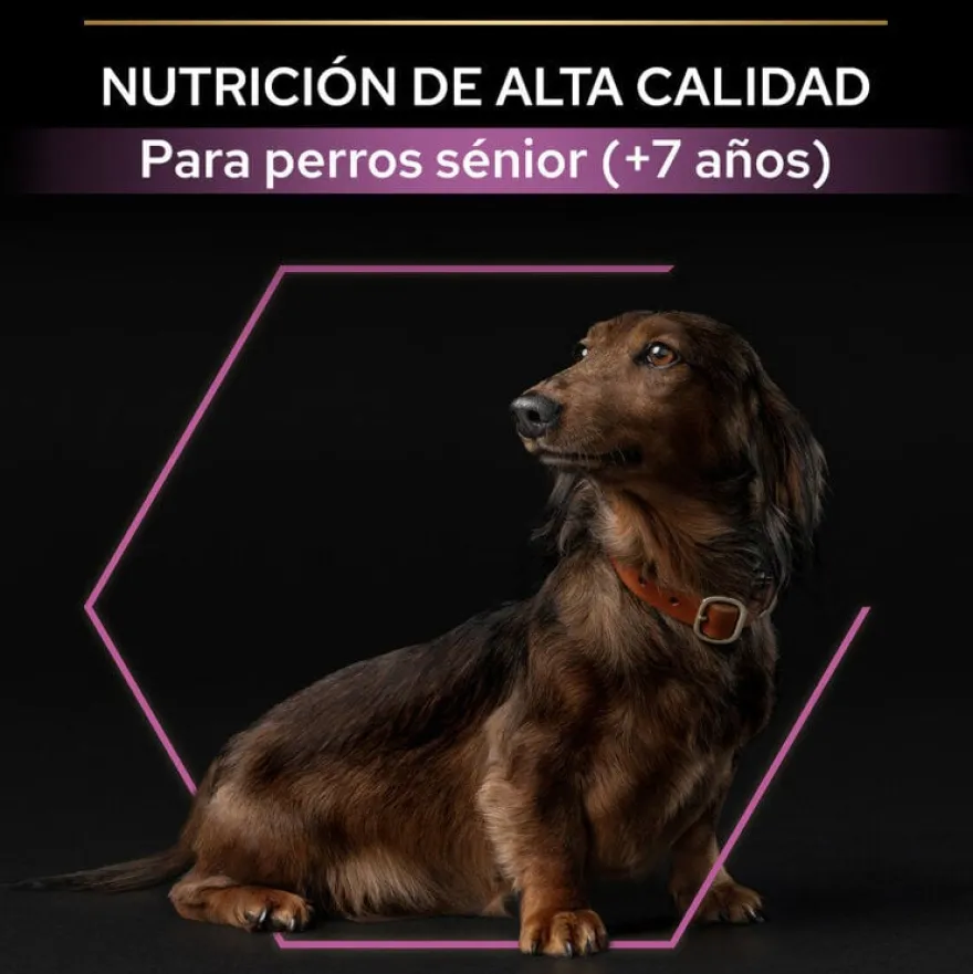 Pro Plan Adult Small & Mini OptiAge Frango ração para cães