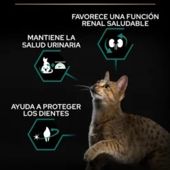 Pro Plan Adult Sterilized Salmão ração para gatos