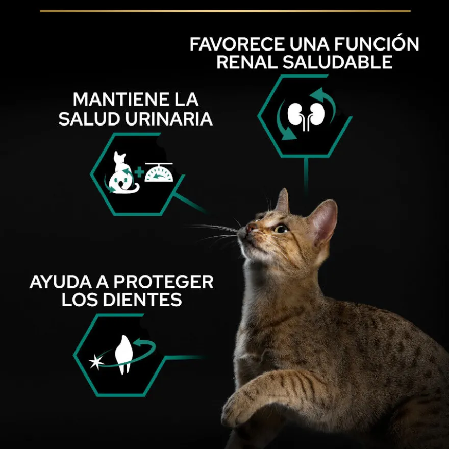 Pro Plan Adult Sterilized Salmão ração para gatos