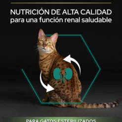 Pro Plan Adult Sterilized Salmão ração para gatos