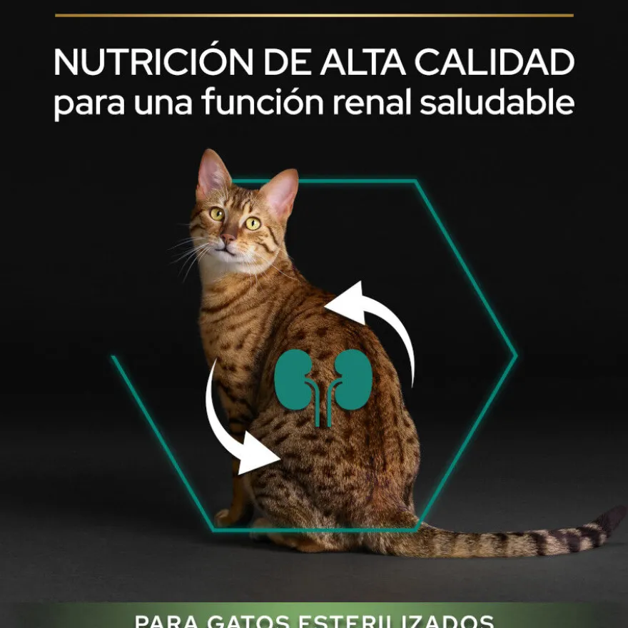 Pro Plan Adult Sterilized Salmão ração para gatos