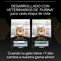 Pro Plan Adult Sterilized Salmão ração para gatos