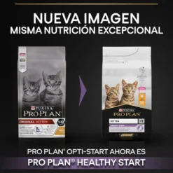 Pro Plan Junior Frango ração para gatos