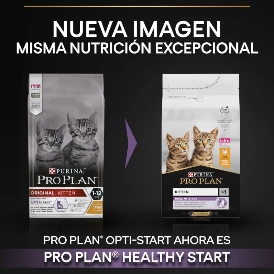 Pro Plan Junior Frango ração para gatos
