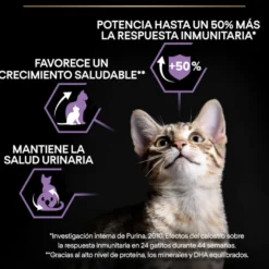 Pro Plan Junior Frango ração para gatos