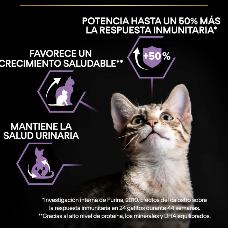 Pro Plan Junior Frango ração para gatos