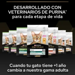 Pro Plan Junior Frango ração para gatos
