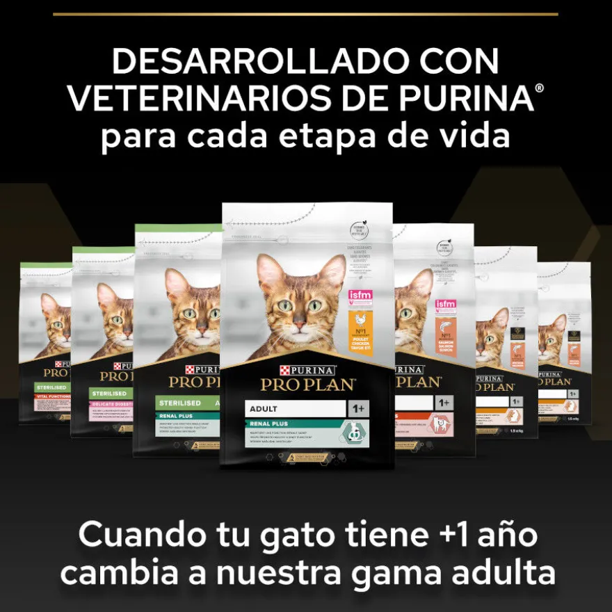 Pro Plan Junior Frango ração para gatos