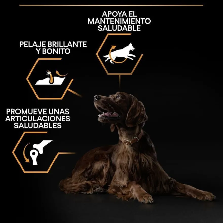 Pro Plan Large Athletic Adult Frango ração para cães