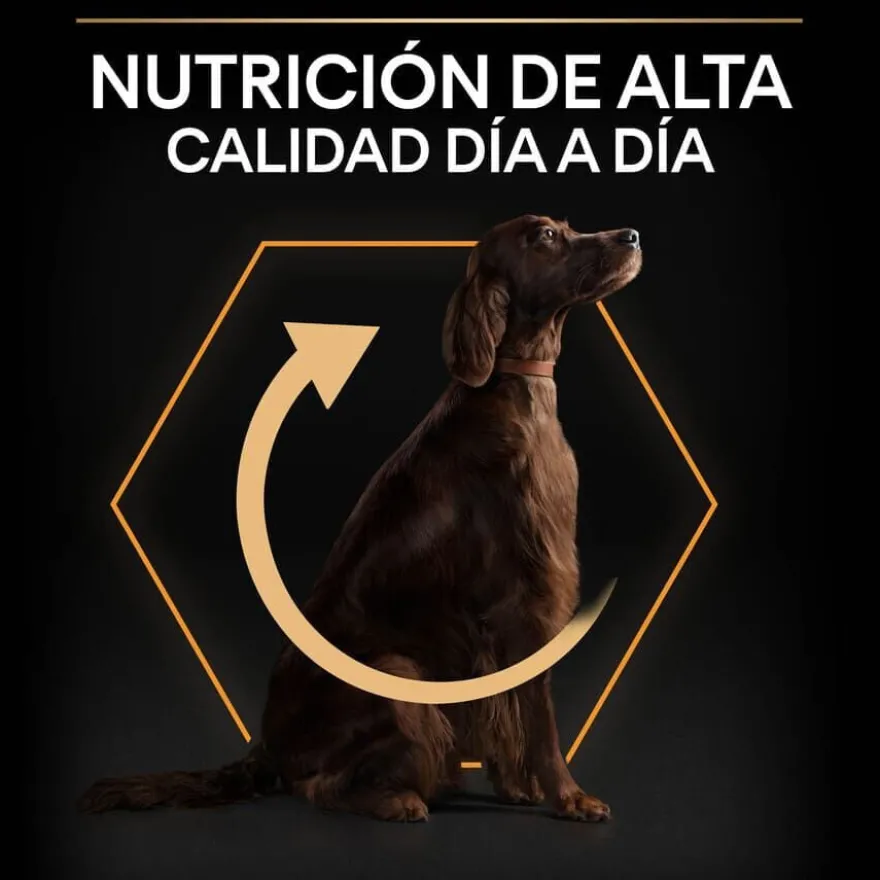 Pro Plan Large Athletic Adult Frango ração para cães