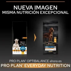 Pro Plan Large Athletic Adult Frango ração para cães