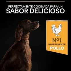 Pro Plan Large Athletic Adult Frango ração para cães