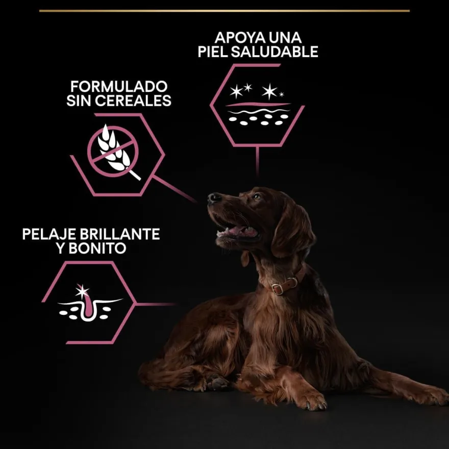 Pro Plan Large Athletic Adult Salmão Peles Sensíveis ração para cães