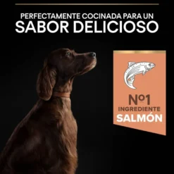 Pro Plan Large Athletic Adult Salmão Peles Sensíveis ração para cães