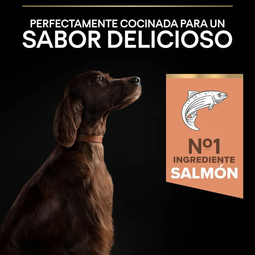 Pro Plan Large Athletic Adult Salmão Peles Sensíveis ração para cães