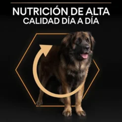 Pro Plan Large Robust Adult ração para cães
