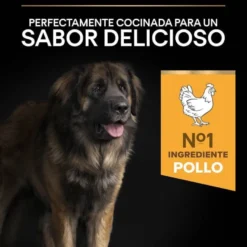 Pro Plan Large Robust Adult ração para cães