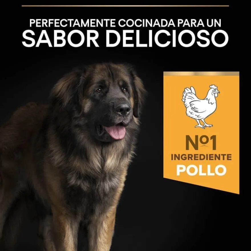 Pro Plan Large Robust Adult ração para cães