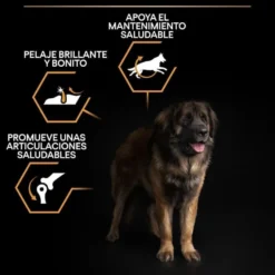 Pro Plan Large Robust Adult ração para cães