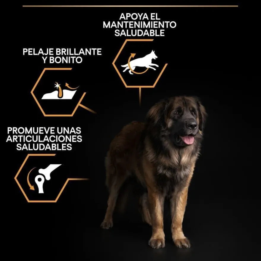 Pro Plan Large Robust Adult ração para cães