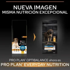 Pro Plan Large Robust Adult ração para cães